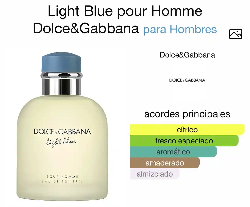 Perfume D&g Light Blue Men
