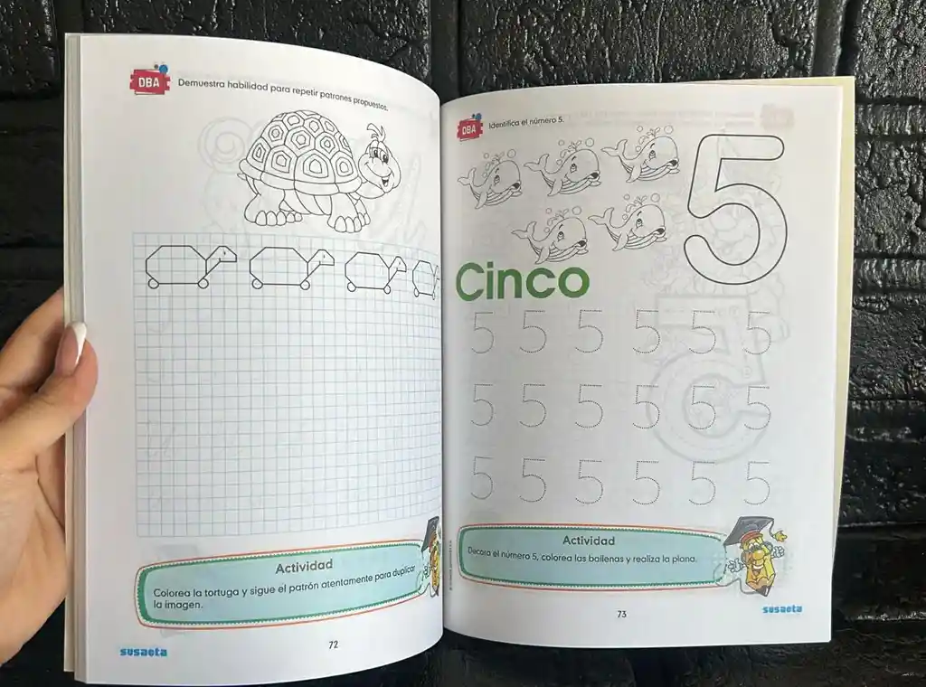 Libro Cartilla Nacho Regletas C