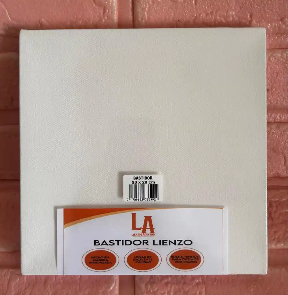 Lienzo O Bastidor 20*20