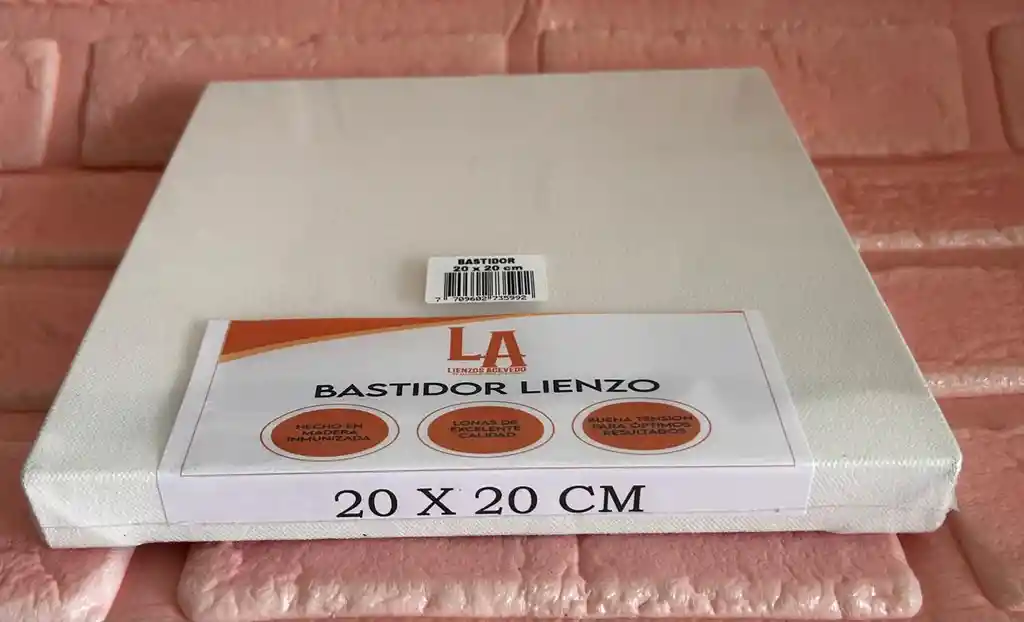 Lienzo O Bastidor 20*20