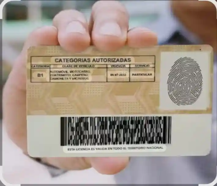Inicial Licencia De Conduccion C1