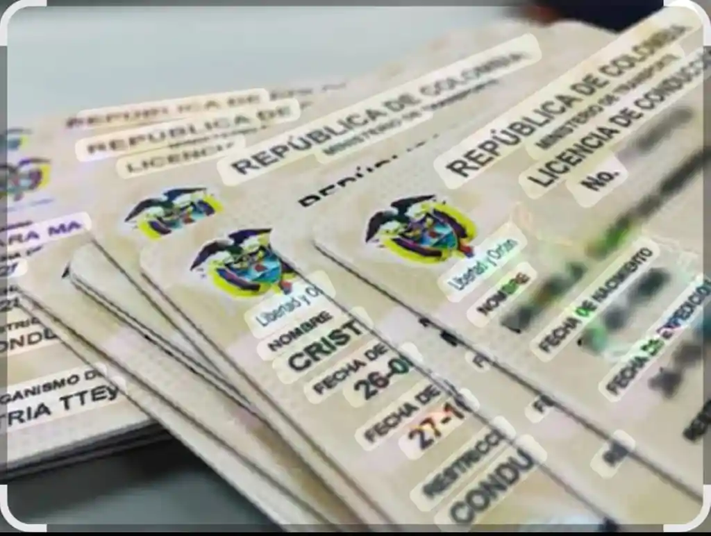 Inicial Licencia De Conduccion C1