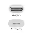 Cable Usb Tipo C