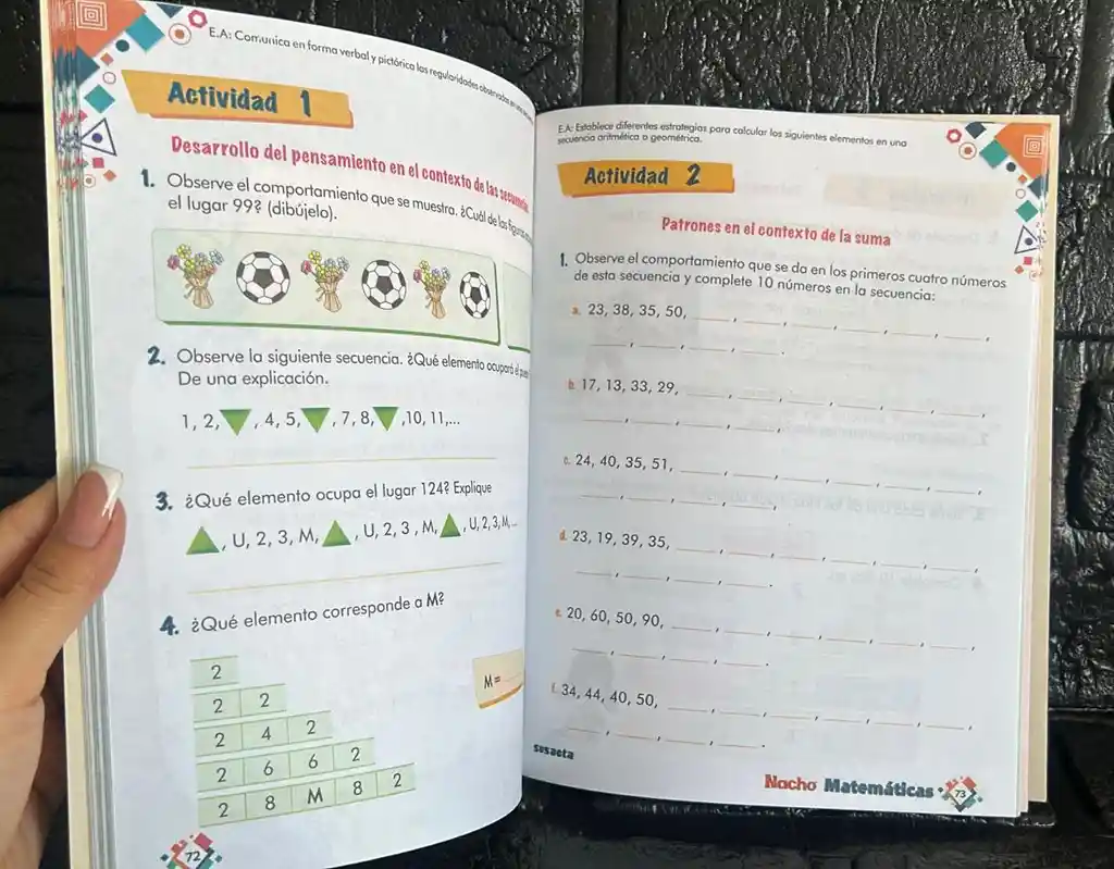 Libro Cartilla Nacho Matematicas D