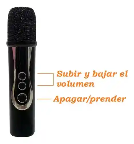 Microfono Inalambrico Recargable Receptor Recargable