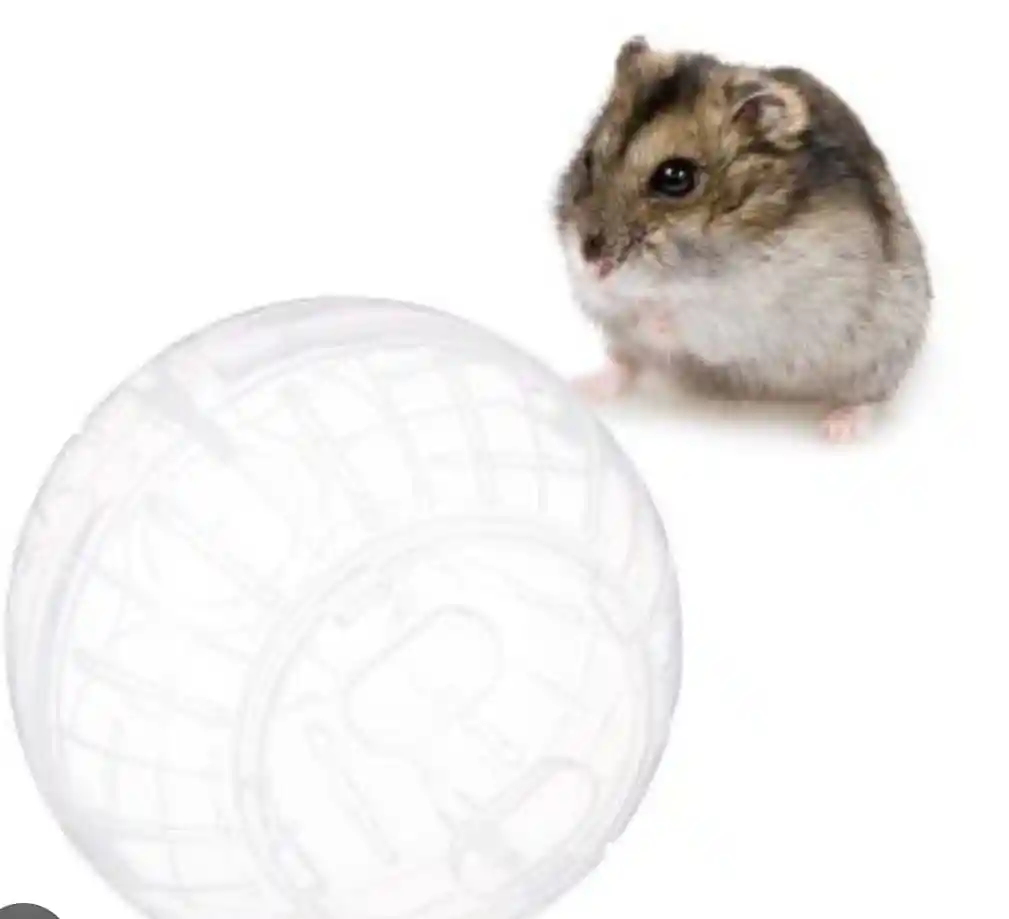 Esfera Para Hamster Pequeña