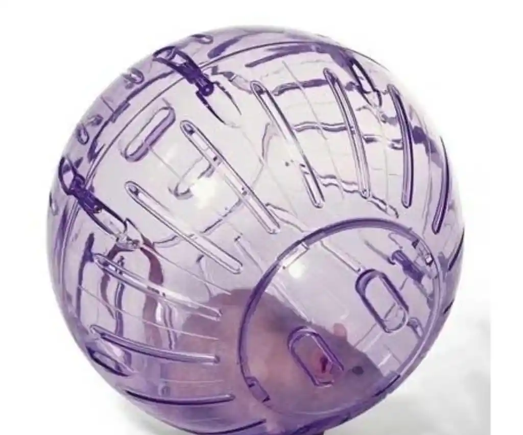 Esfera Para Hamster Grande
