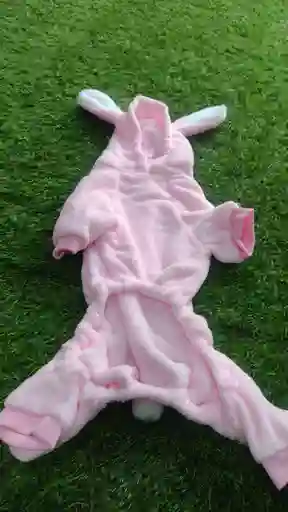 Disfraz Importado Poara Mascota De Conejita