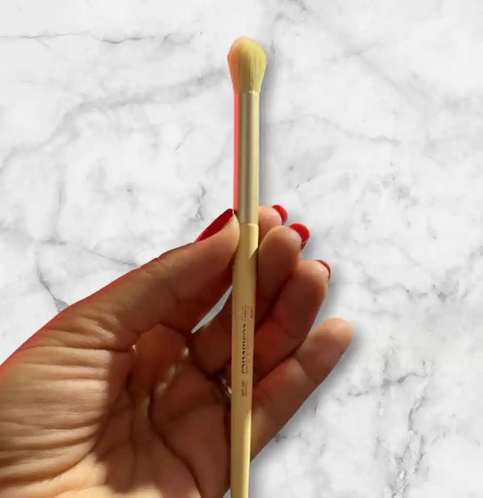 Brochas Multifuncional