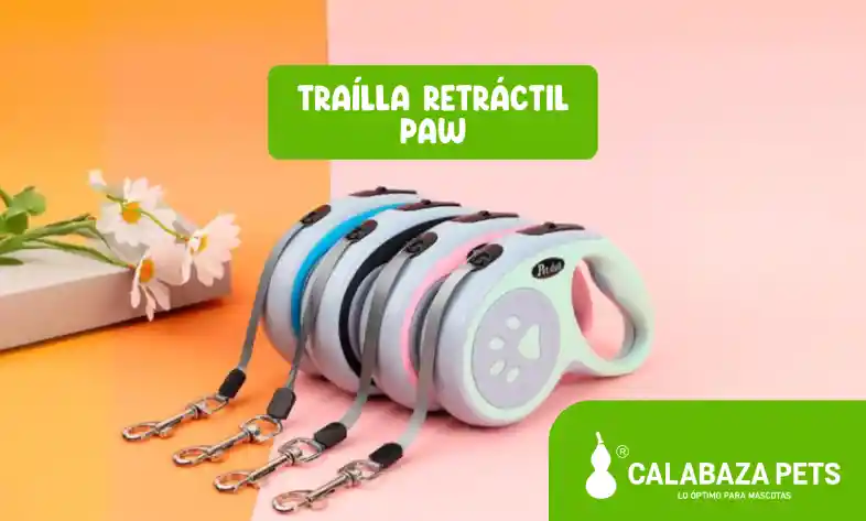 Trailla Correa Retractil Paw Talla Xs 5m