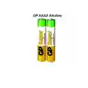 Gp Pila Aaaa Alcalina