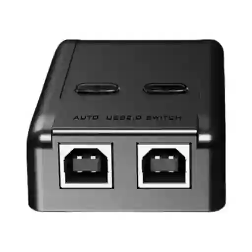 Switch 2 Port Usb Printer