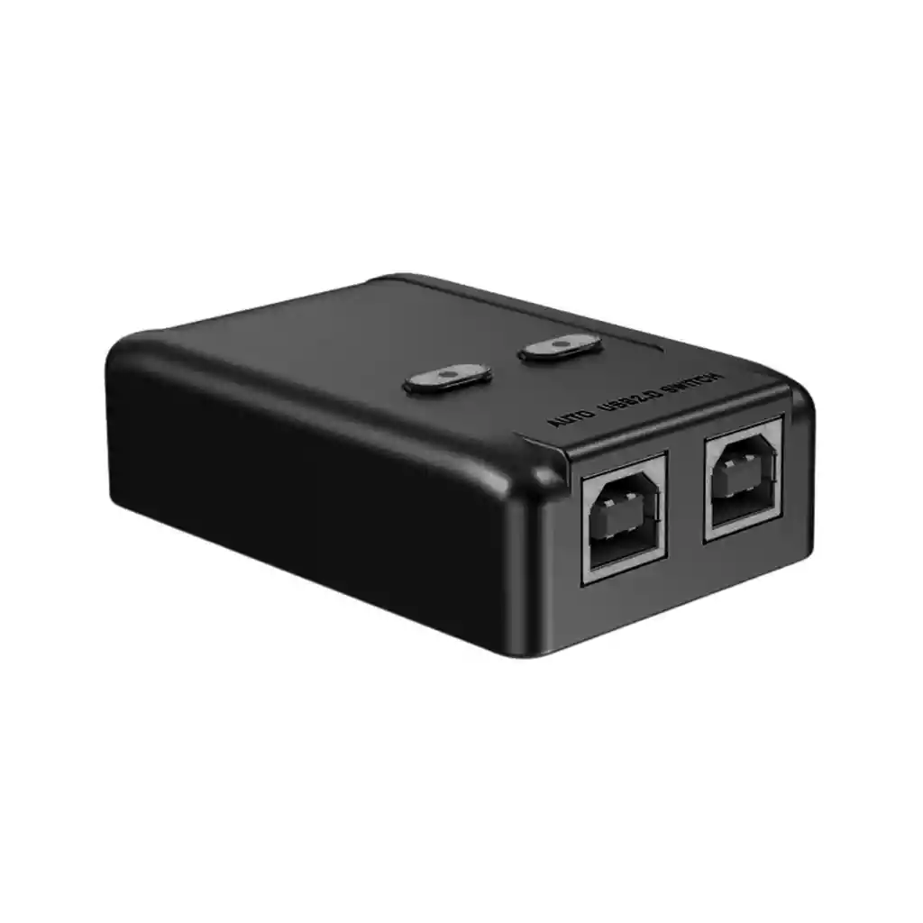 Switch 2 Port Usb Printer