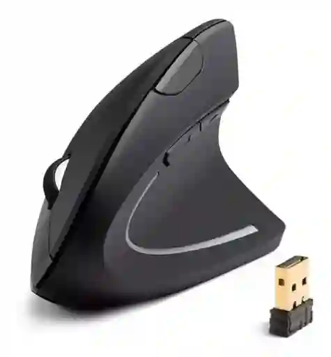 Mouse Raton Vertical Inalambrico D5