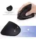 Mouse Raton Vertical Inalambrico D5