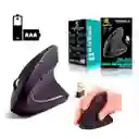 Mouse Raton Vertical Inalambrico D5