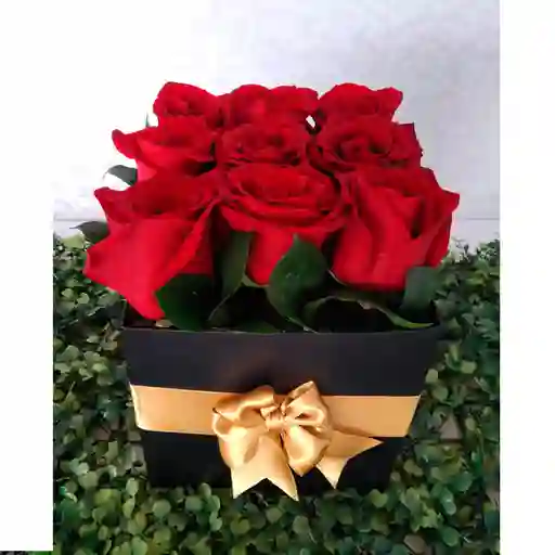 Caja De Rosas Cuadrada
