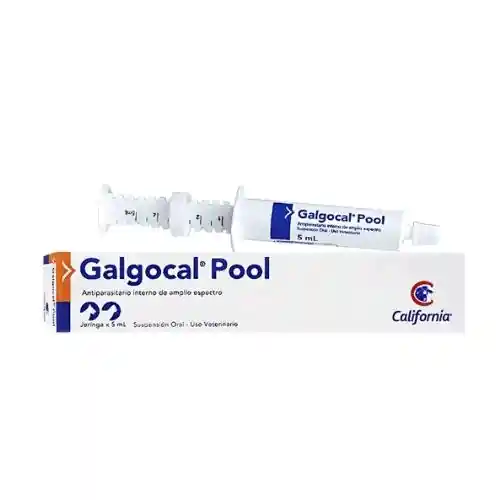 Galgocal Pool Jeringa 5 Ml