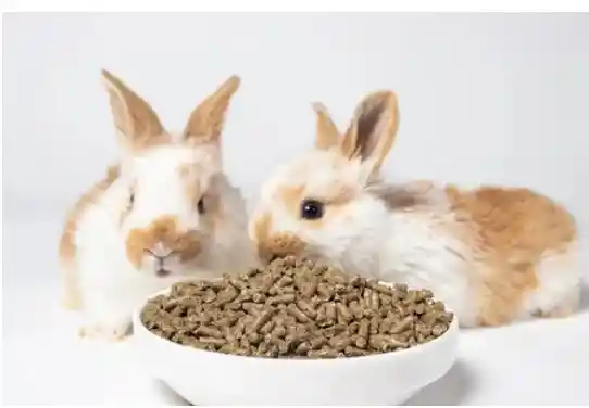 2kl Heno + 4kl Concentrado