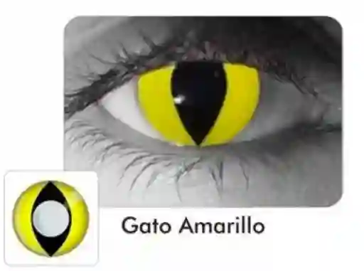 Halloween Lente De Contacto Amarillo Gato