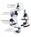 Microscopio Monocular Niños Didactico Kit 28 Piezas