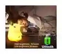 Lampara Chiguiro Capybara Carpincho Silicona Recargable