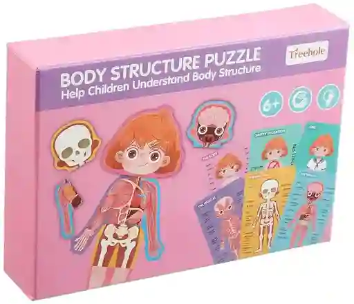 Rompecabezas Cuerpo Humano Con Tarjetas Educativas