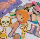 Rompecabezas Cuerpo Humano Con Tarjetas Educativas