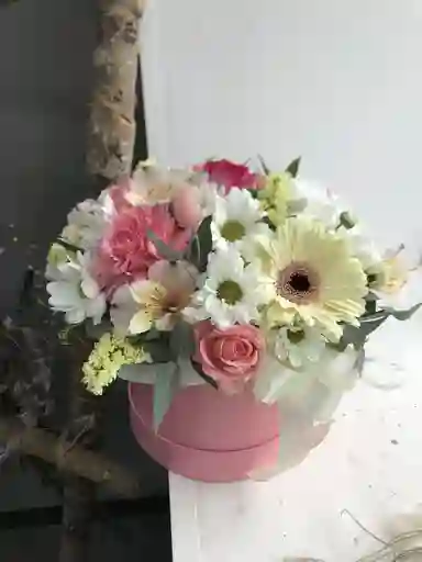 🌸 Caja Primavera Radiante
