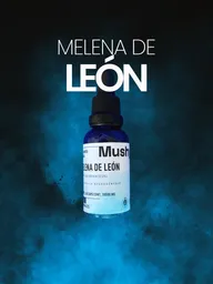 Melena De León Líquida Doble Extracción – Ansiedad, Estrés & Falta De Memoria