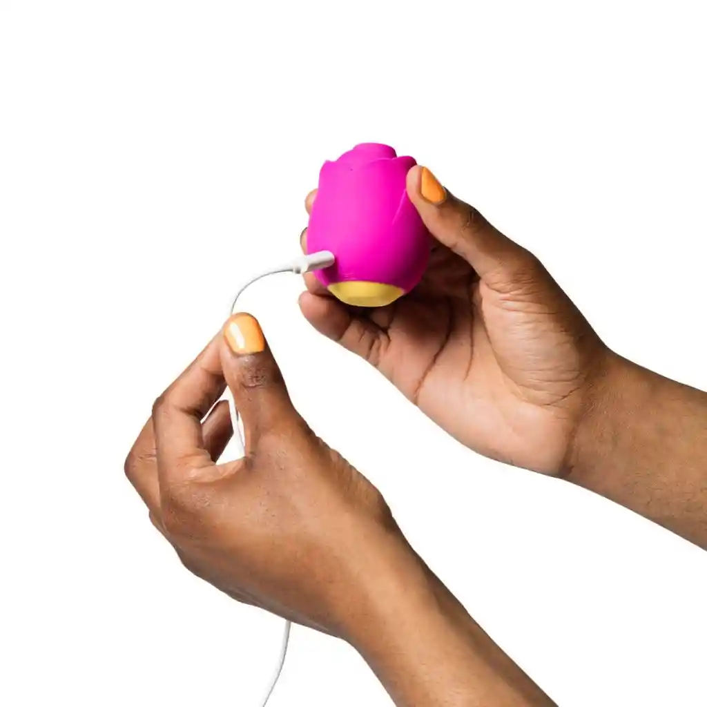 Succionador Romp Rose