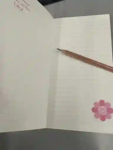 Agenda 72 Hojas Rayadas 10 X18.8 Cm