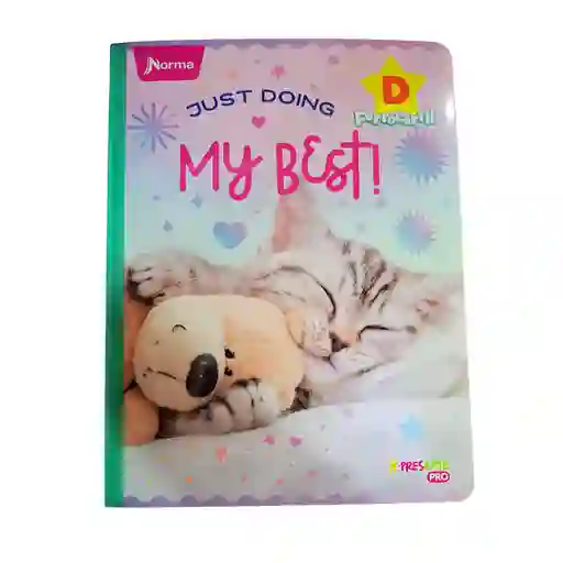 Cuaderno Norma X-presarte D Ferrocarril 100h
