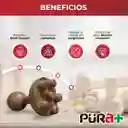 Maderoterapia Masajeador Espalda Champiñon