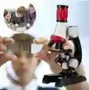 Microscopio Digital Para Niños Con Soporte Para Celular