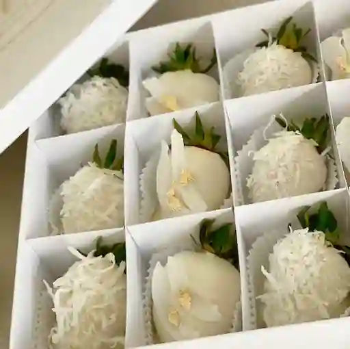 Coconut Box X6