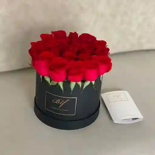 Caja Magna M