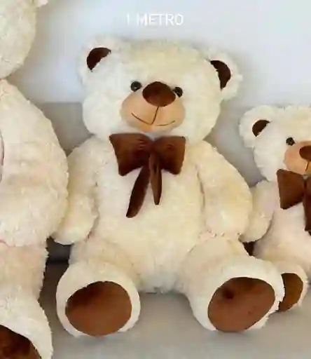 Oso Mediano
