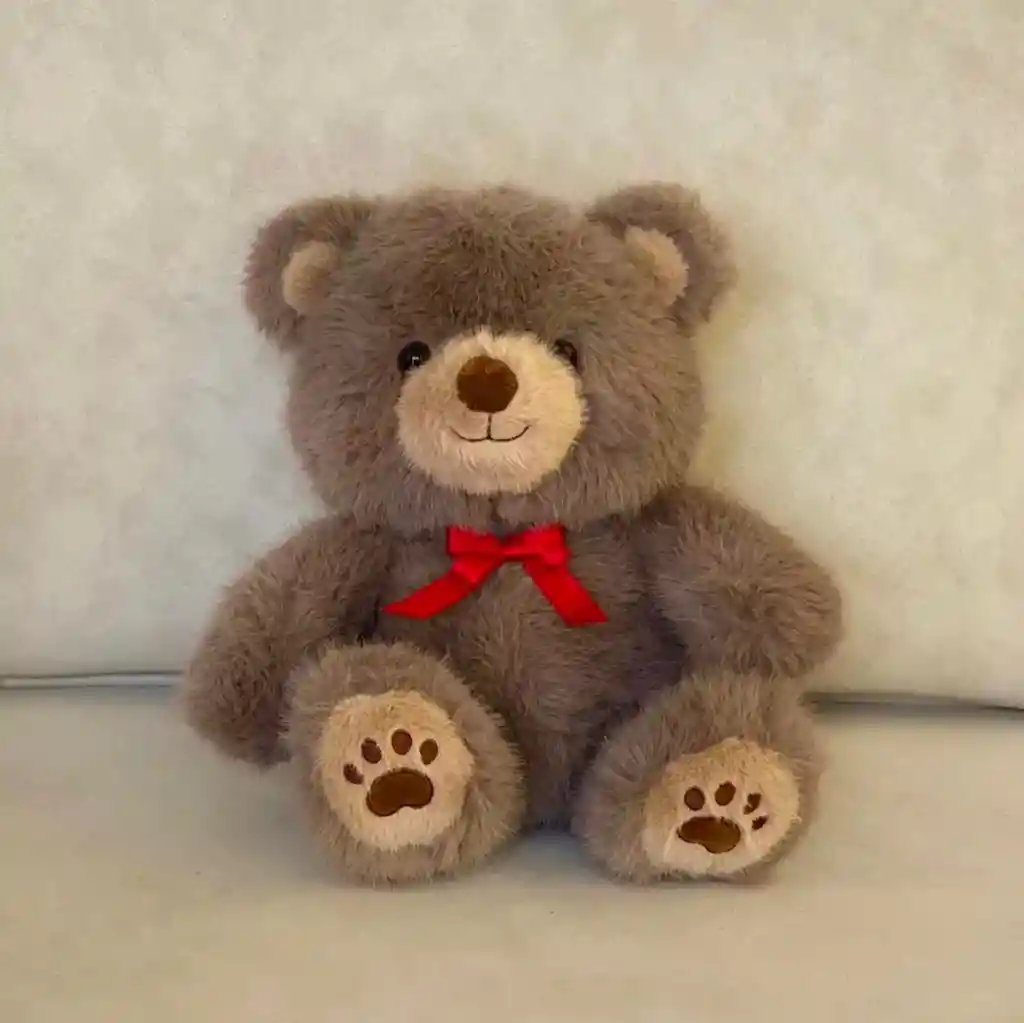 Oso Tedy