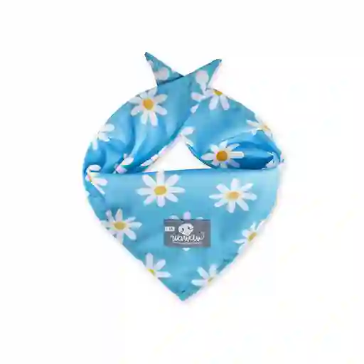 Pañoleta Xl Celeste Margaritas