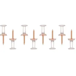 Chinches Transparentes 25 Und