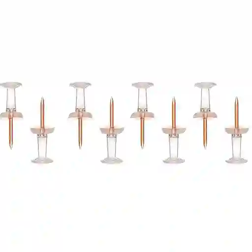 Chinches Transparentes 25 Und