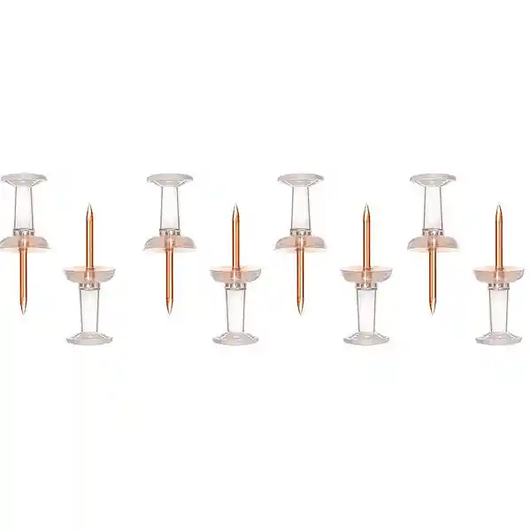 Chinches Transparentes 25 Und