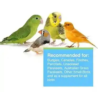 2 Comederos Para Aves