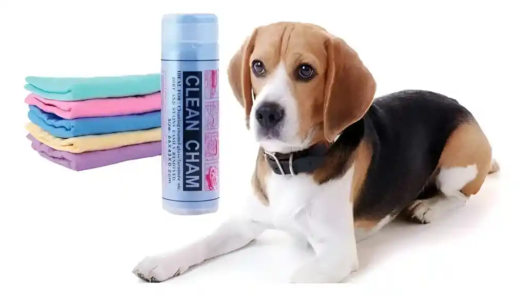 Caneo Toalla Mascotas Super Absorbente Perros