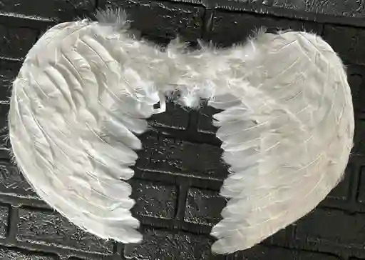 Alas De Angel Blancas Pequeñas 53*31 Cm