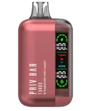 Vaper Vaporizador Smok Priv Bar Turbo Strawberry Mint Candy