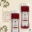 Shampoo De Romero Y Quina
