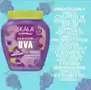 Skala Tratamiento Capilar Dos En Uno Uva