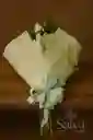 Bouquet De 10 Rosas De Jardín – Acompañamiento Y Serenidad